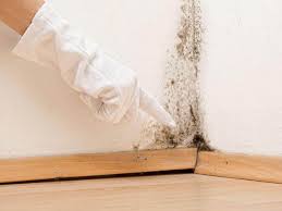 Best Basement Mold Removal  in Ladera, CA